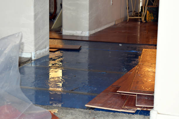 Professional Basement Flooding technician working in Burlington, MA